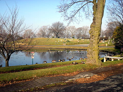 Greenwood cemetery in Brooklyn