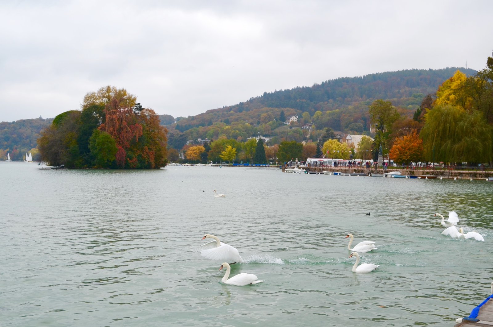 'H λίμνη των κύκνων΄, Annecy