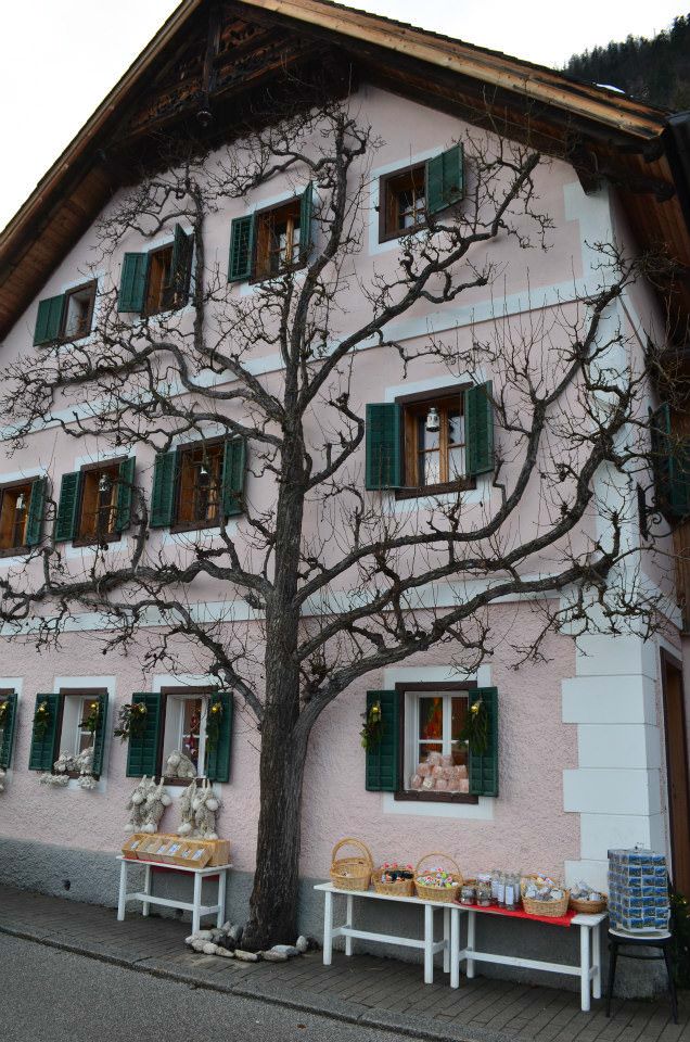 Hallstatt11