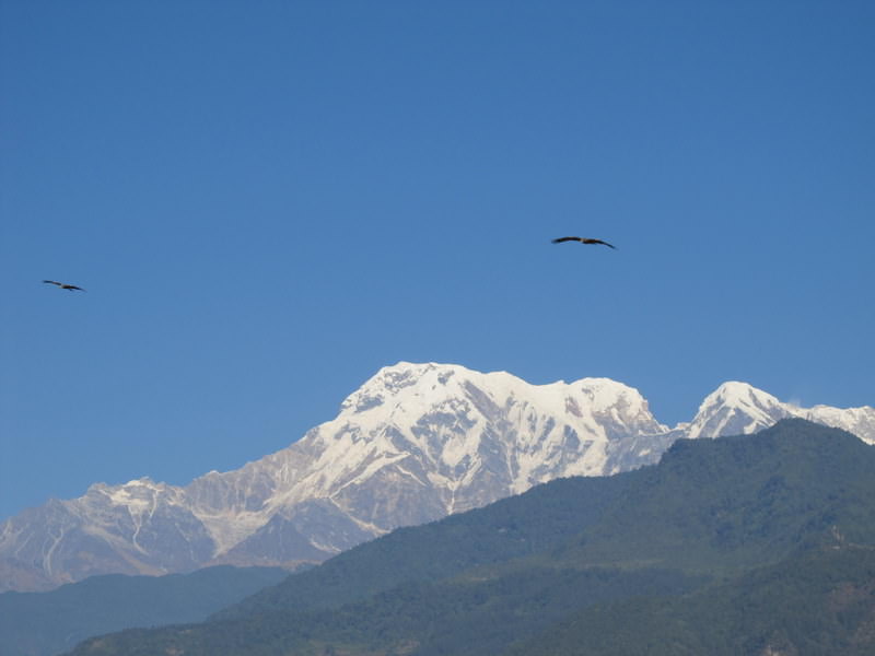 Himalayas: Machapuchare (Fish-tail Mountain)