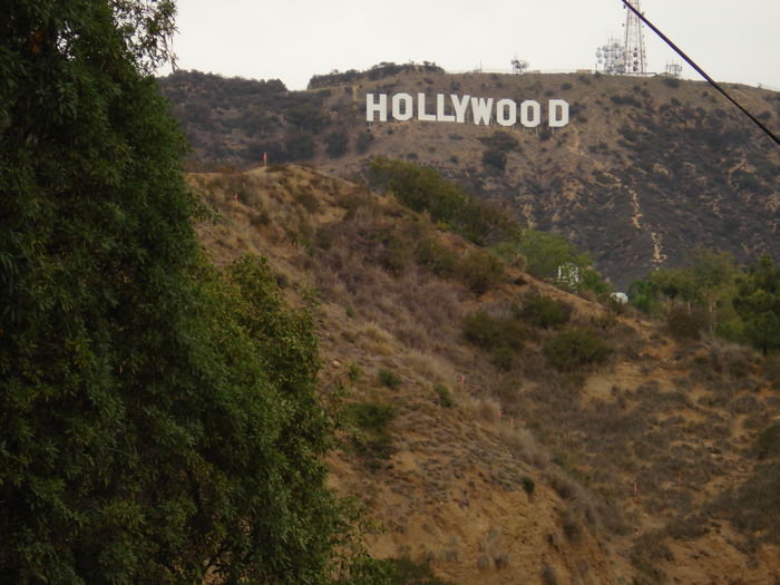 hollywood hill