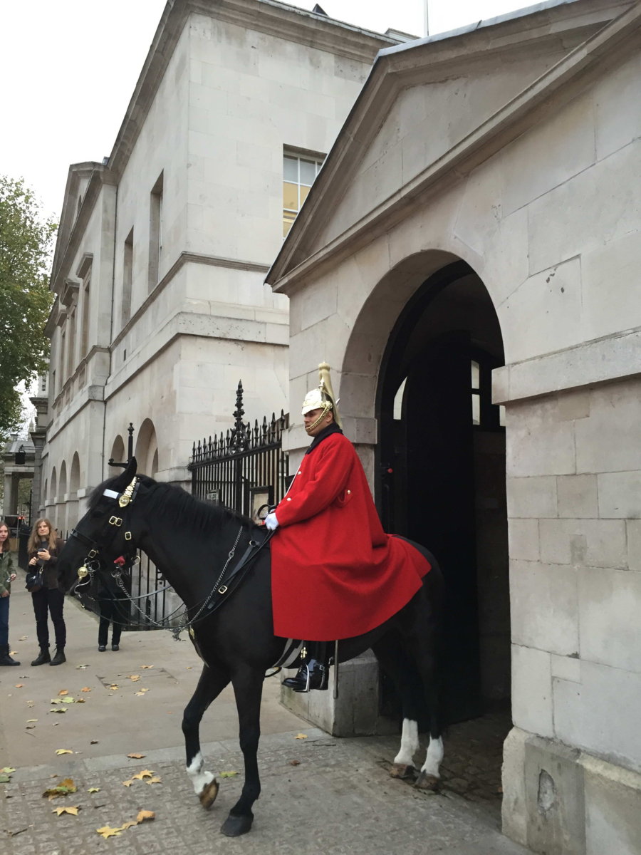 horse guard