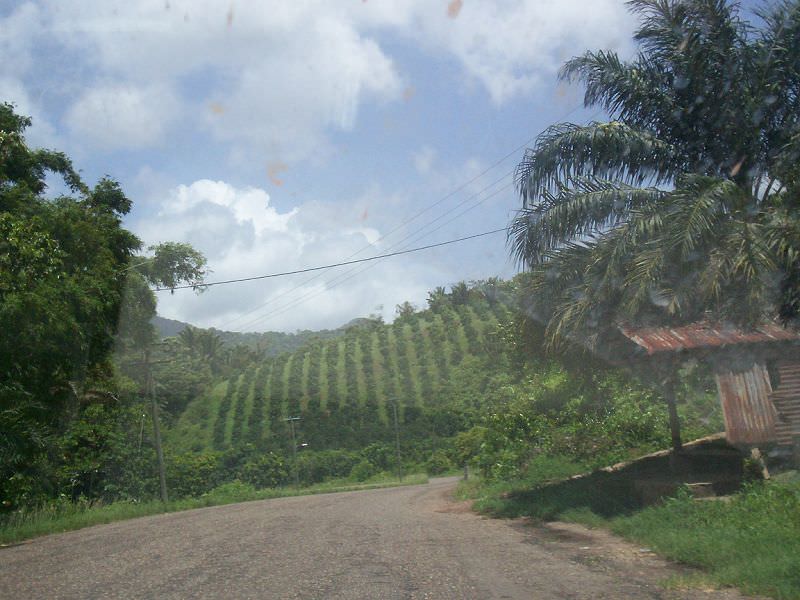 HUMMINGBIRD HIGHWAY