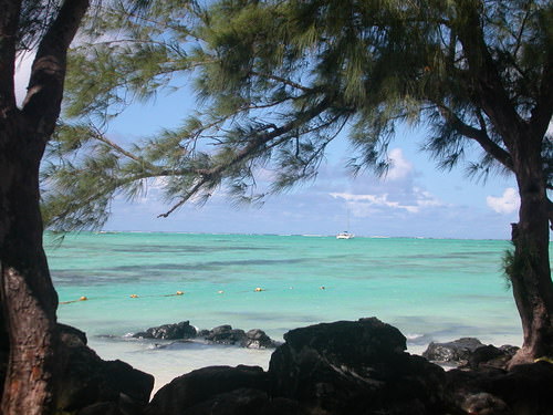 ILE AUX CERFS