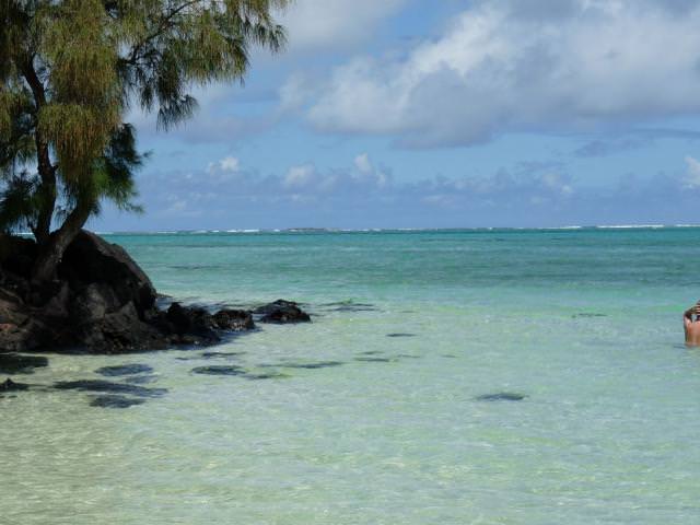 Ile Aux Cerfs