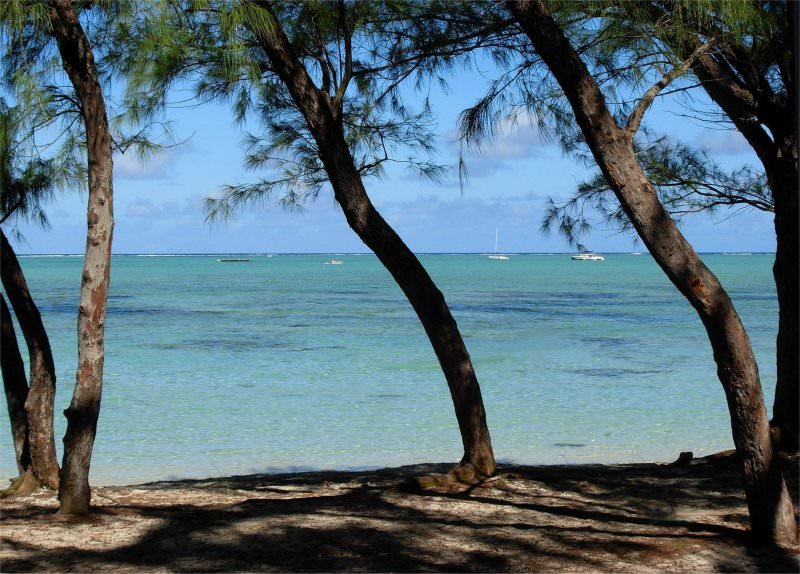 Ile Aux Cerfs