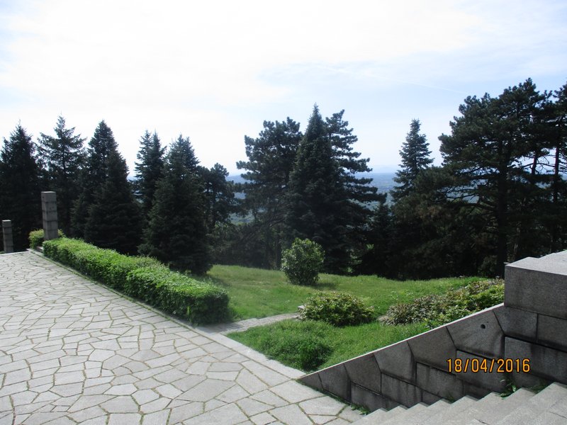 IMG_1869-001