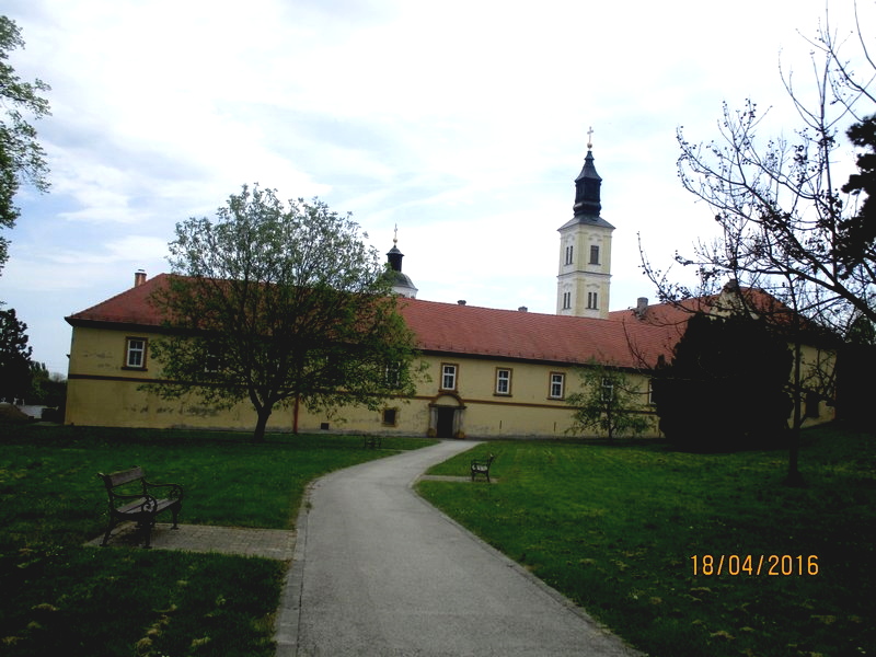 IMG_1932-001