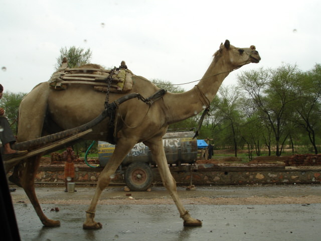 india varanassi agra