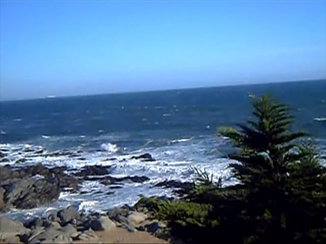 Isla Negra