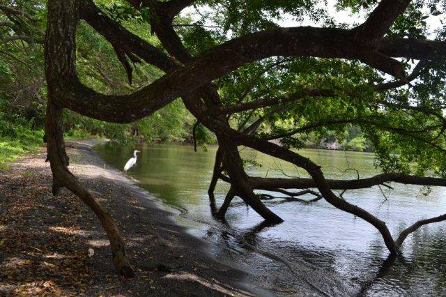 Isla Ometepe, Lake Nicaragua