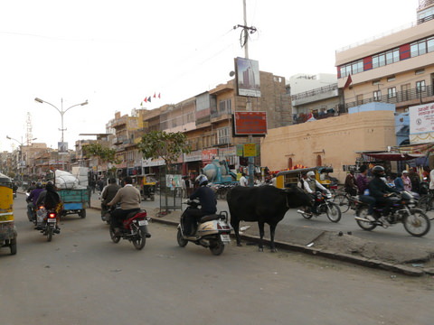 Jodhpur