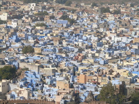 Jodhpur