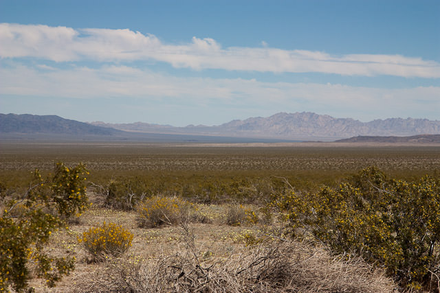 Joshua Tree National Park