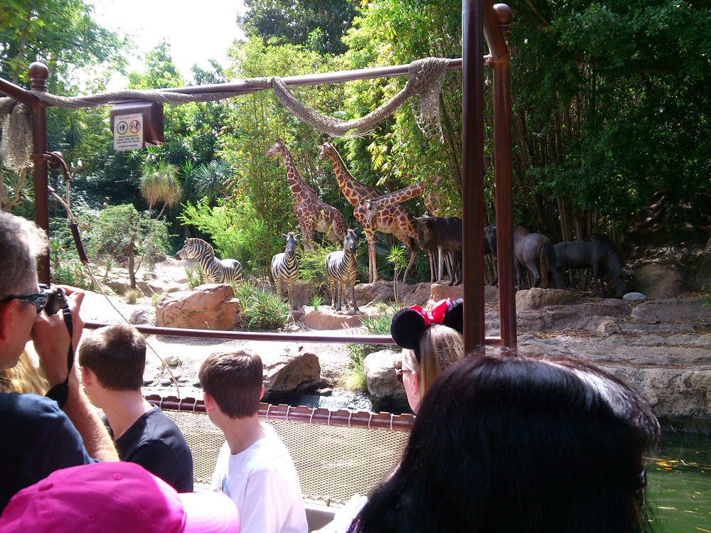 Jungle Cruise 4