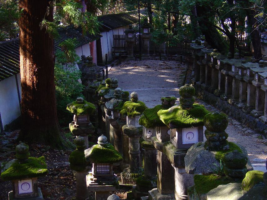 Kasuga shrine στην Nara