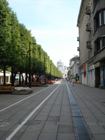 kaunas