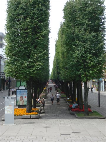 kaunas