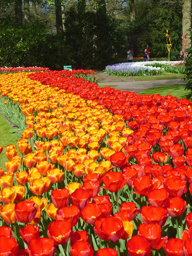 keukenhof