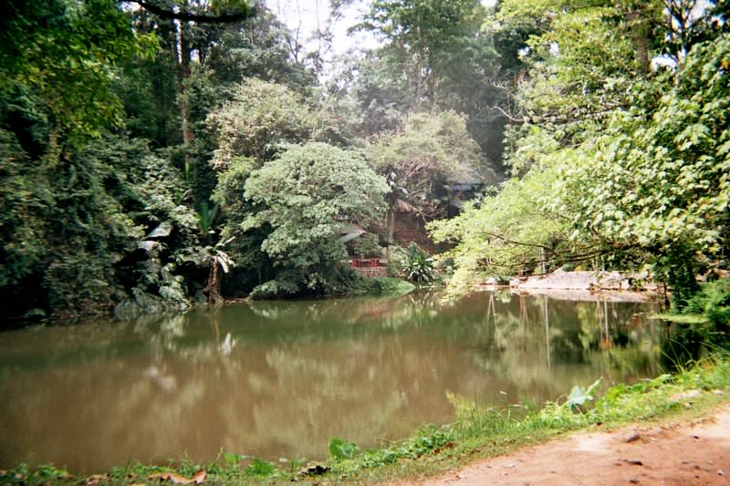 Khao Phra Thaeo National Park