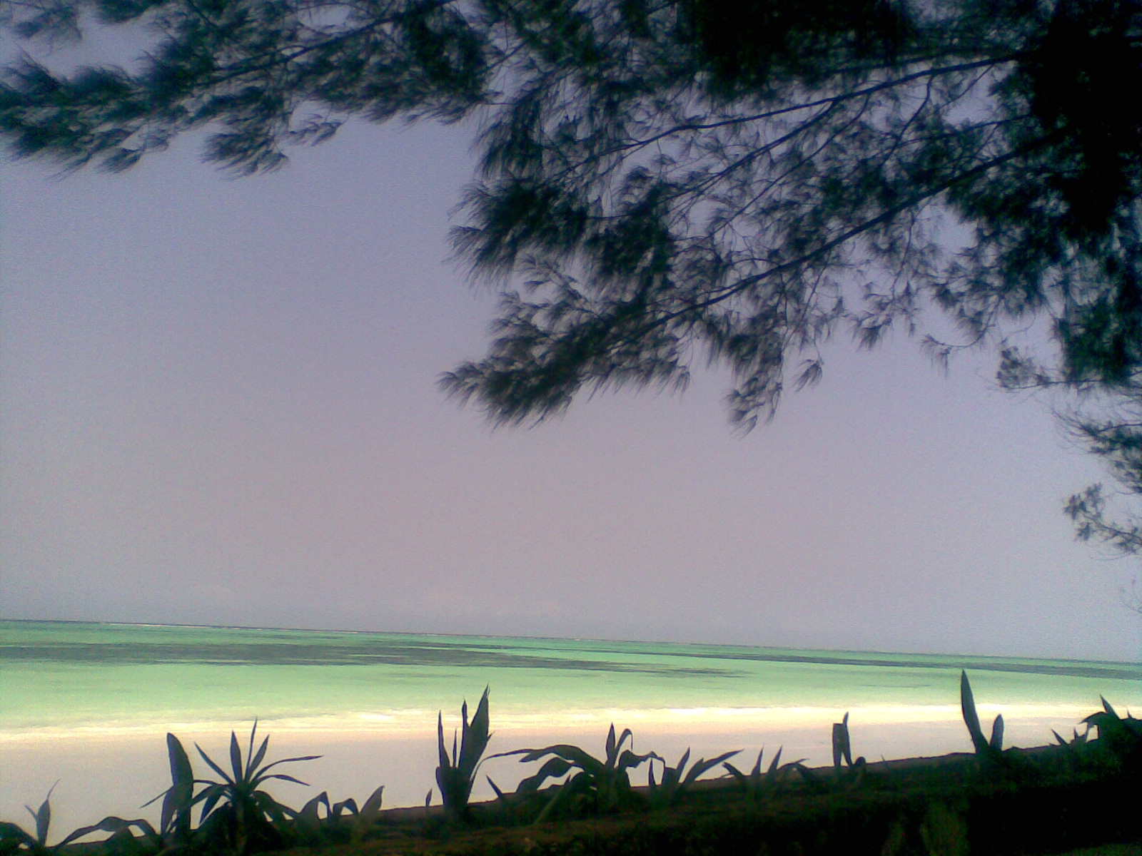 Kiwengwa - Zanzibar