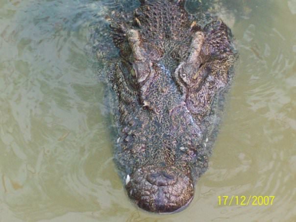 Koh Samui 2007