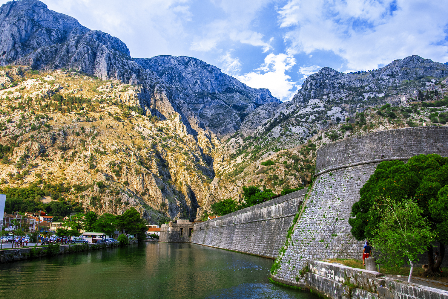 Kotor