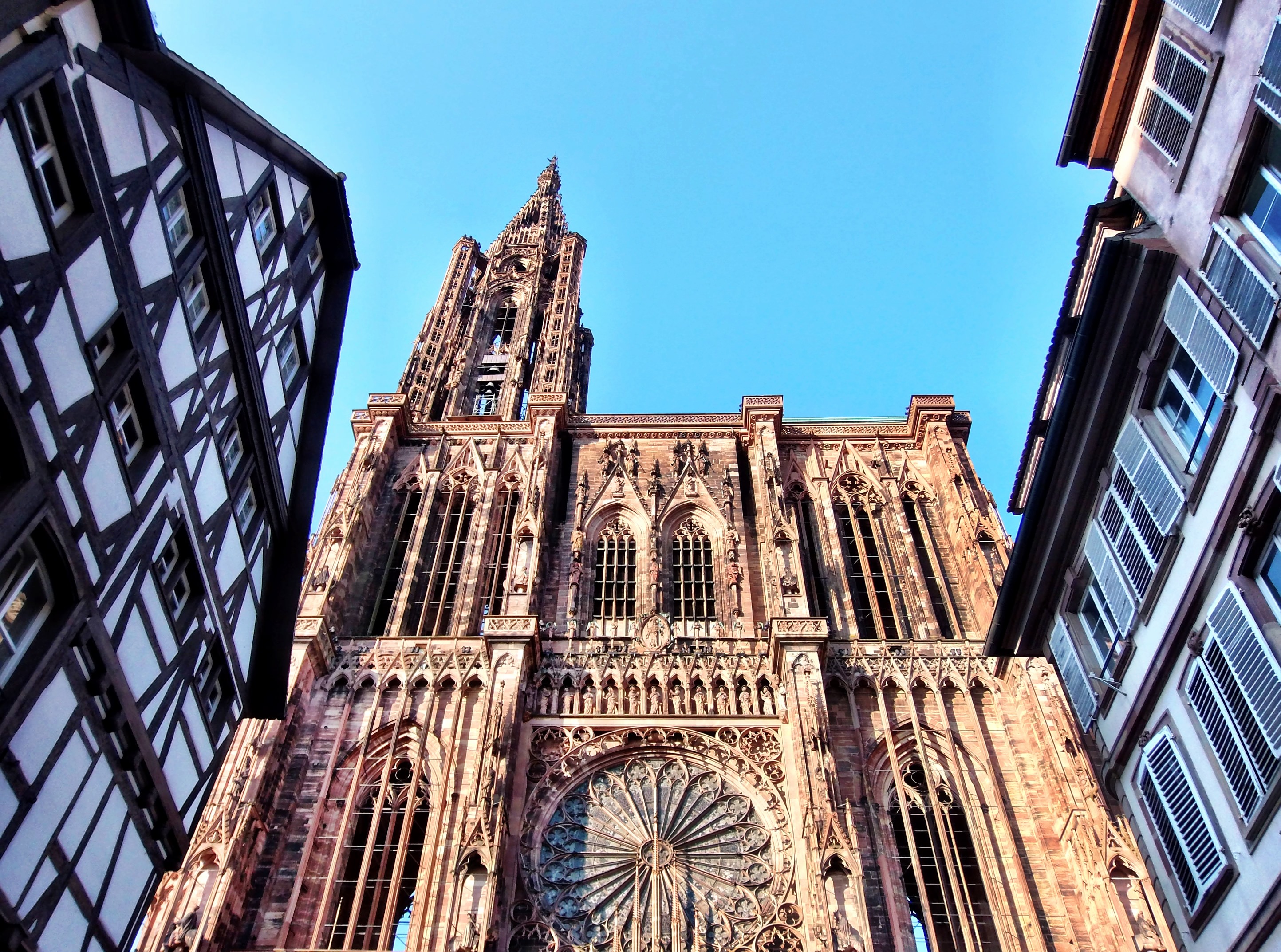 la cathédrale notre-dame de strasbourg