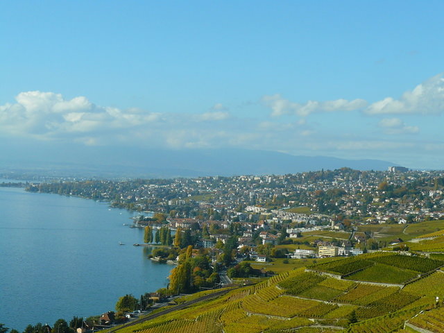 Lac Leman - Lavaux