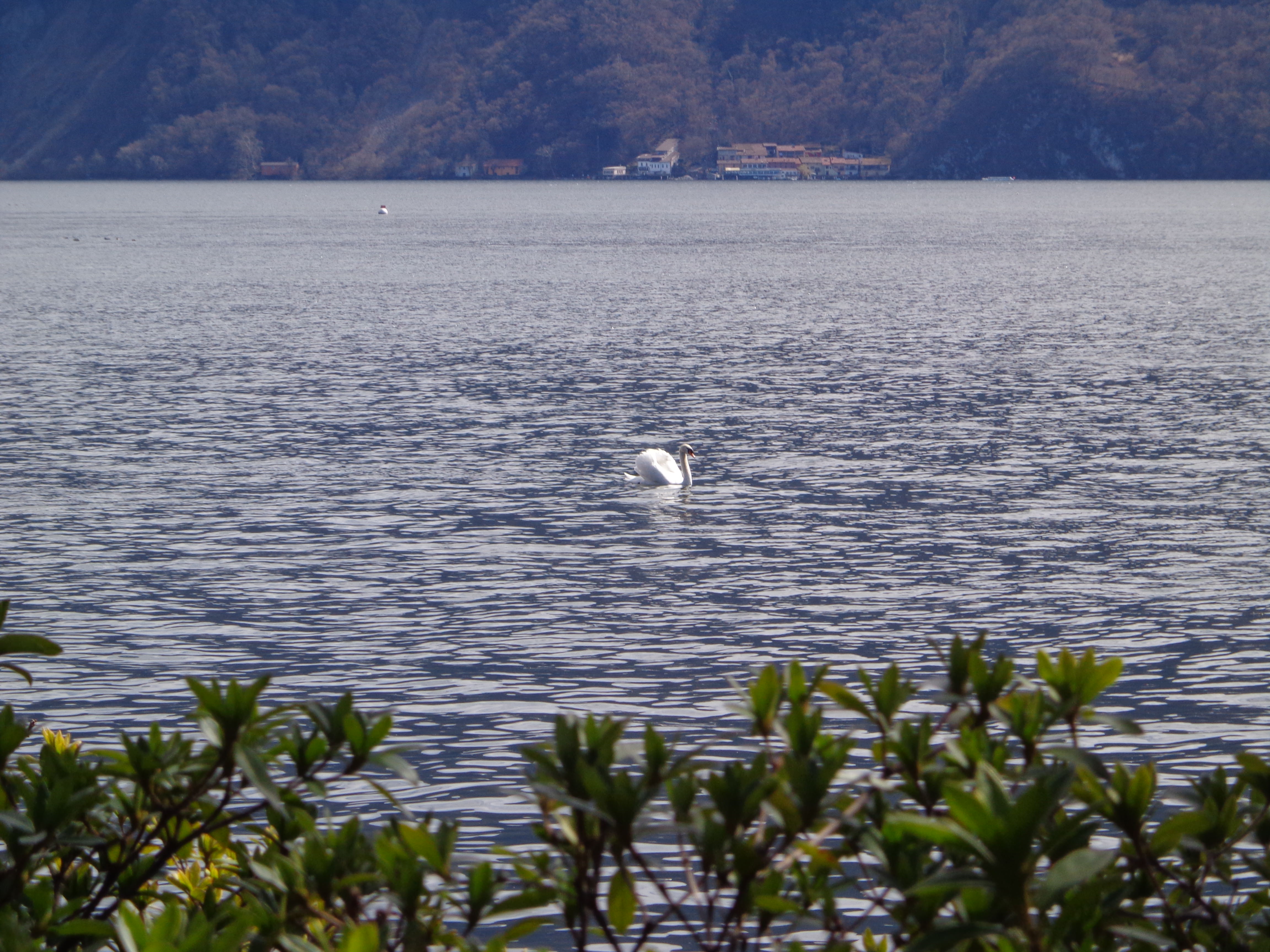 Lake Lugano, Switzerland