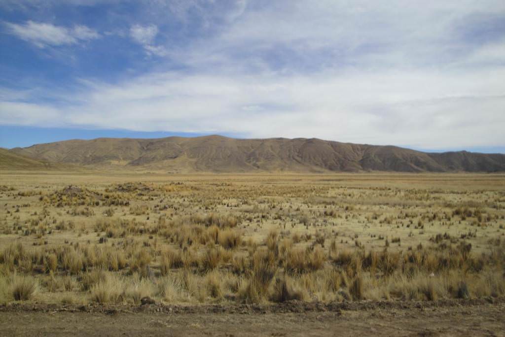 Landscape in Puno region, 22.8.2011