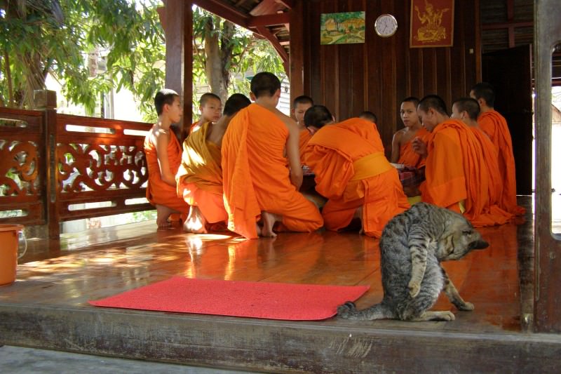 laos temple