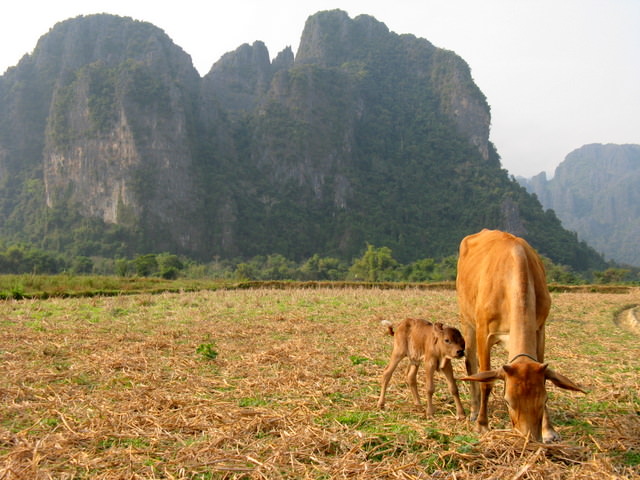 Laos