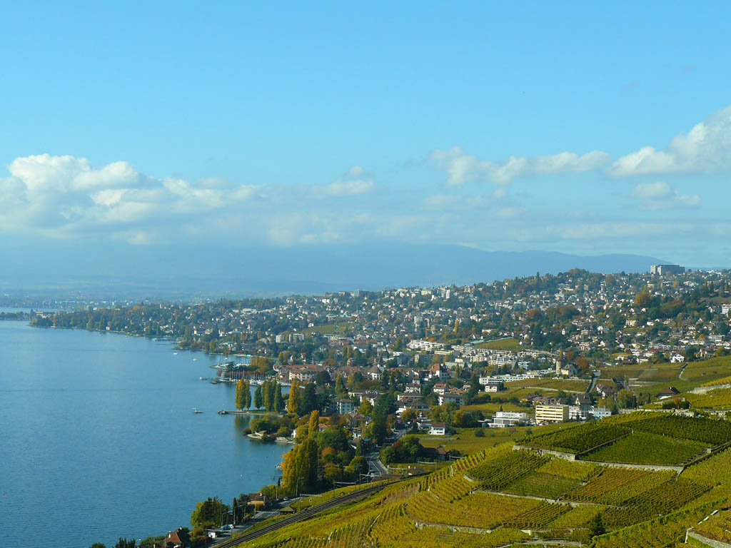 Lavaux vineyards