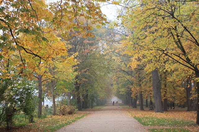 Lazienki Park,  Βαρσοβία