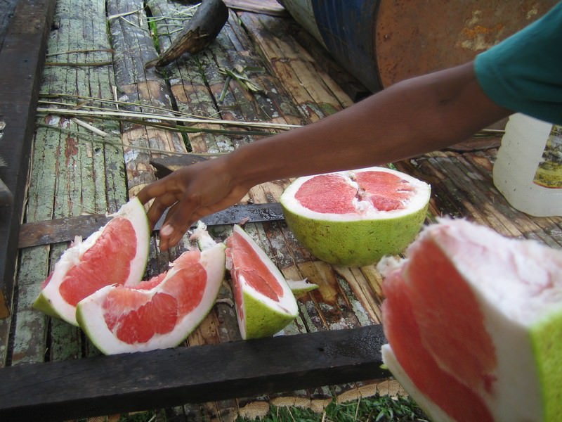 Life_in_the_village_3_