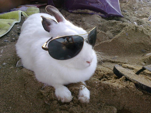 Liza on the beach!