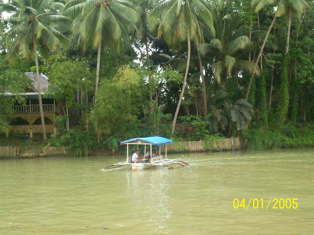 Lomboc river - Bohol island