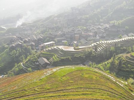 Longsheng Terrace Field