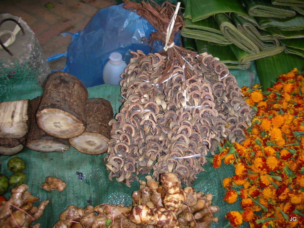 Luang Prabang  πρωινή αγορά