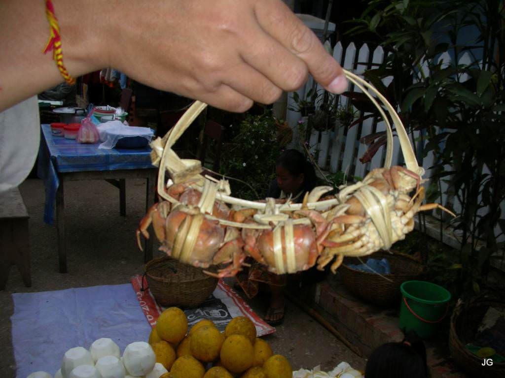 Luang Prabang  πρωινή αγορά