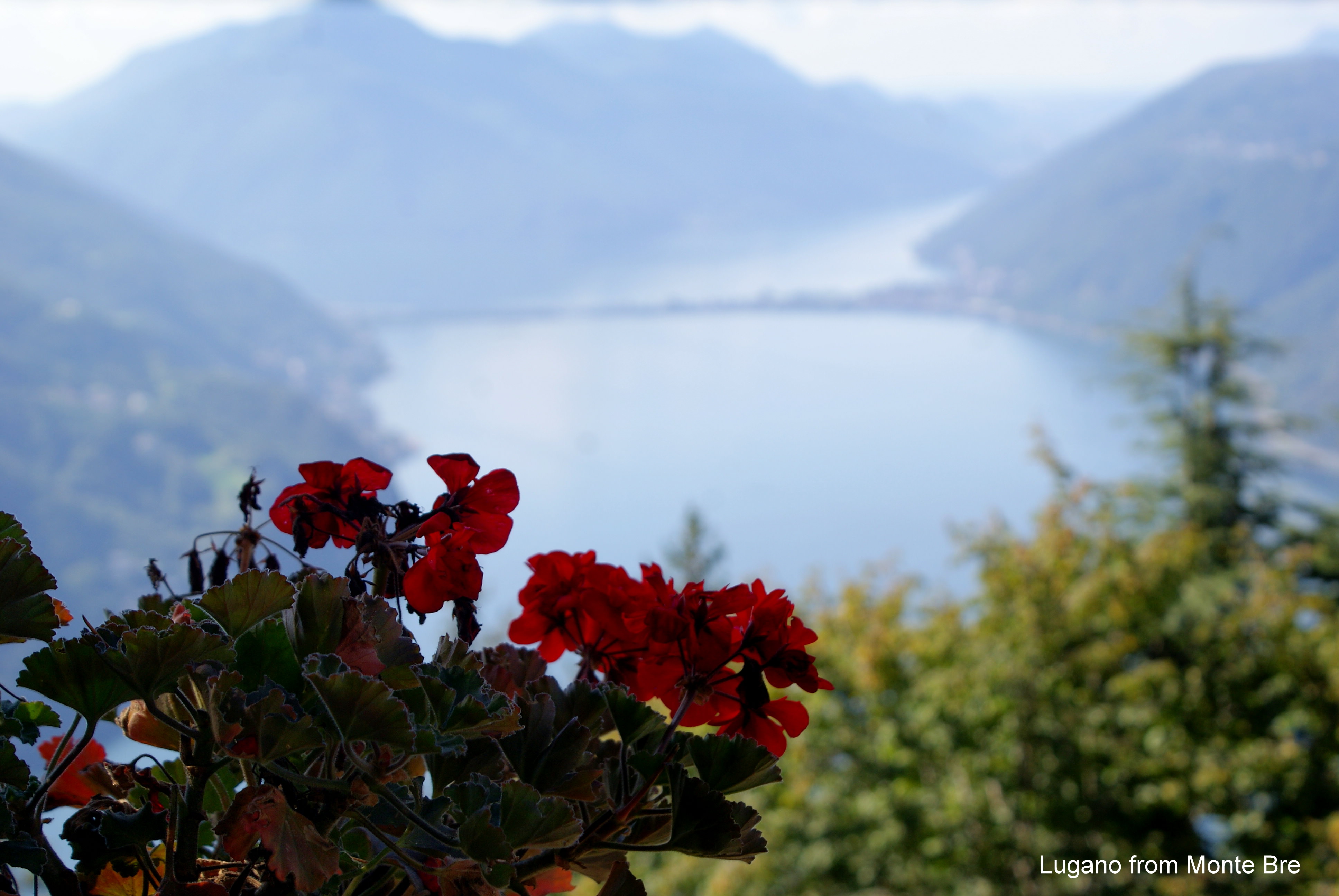 Lugano lake from Monte Bre