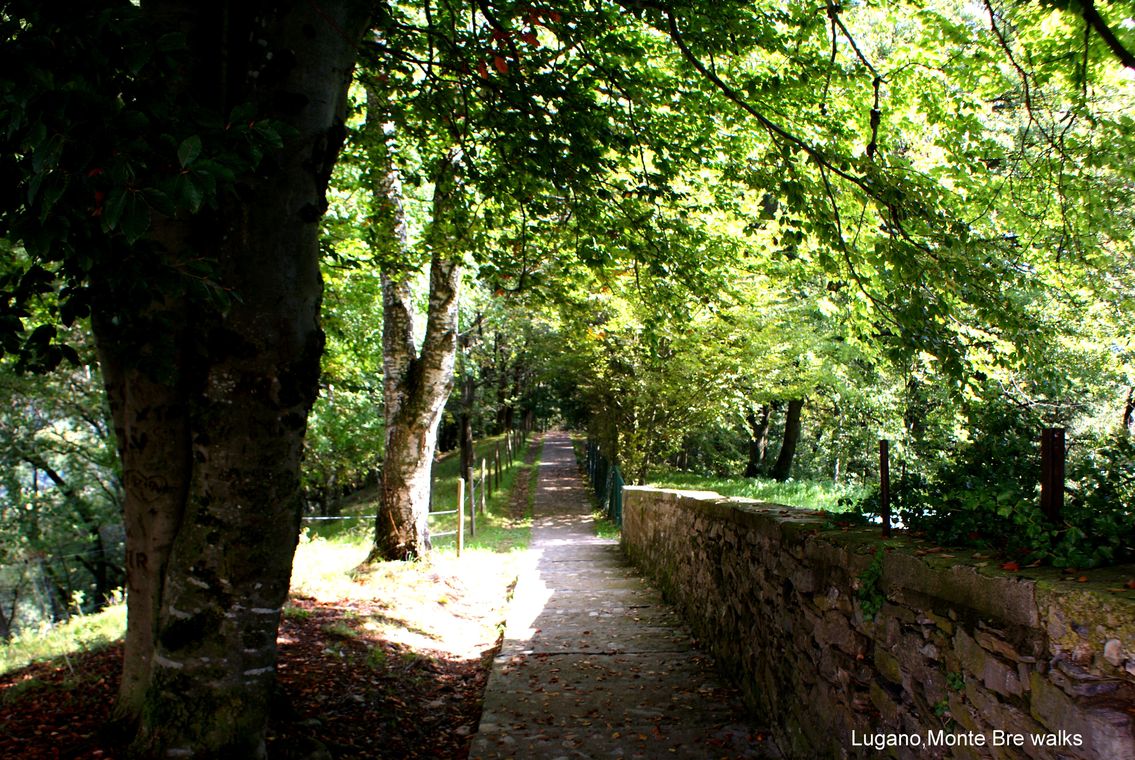 Lugano,Monte Bre walks