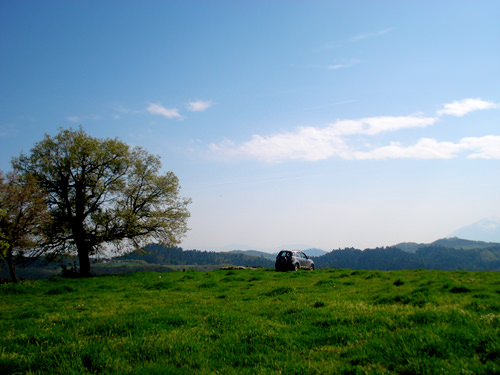 machine and nature