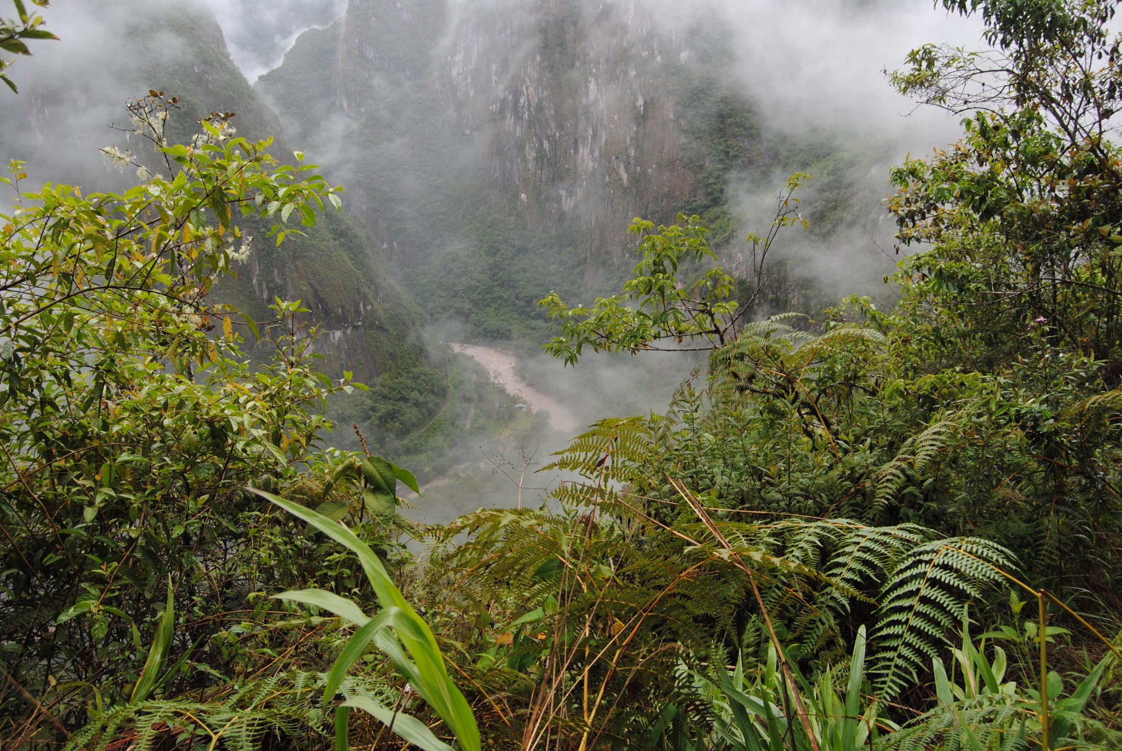 Machu Picchu.Στη μεση της διαδρομης,μια απο τις πολλες στασεις για ανασες.