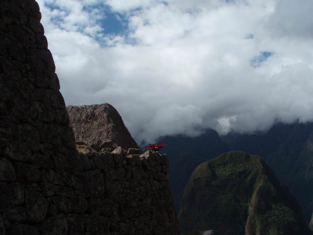 Machu Pichu