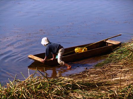 MADAGASCARE_2005_527_2_