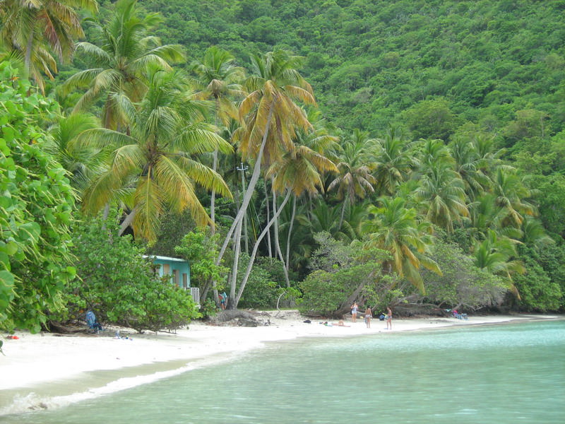 Maho Bay