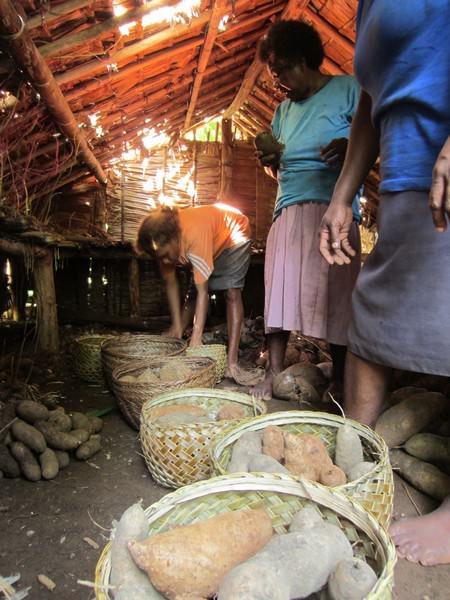 Makira-wogasia_festival_30_