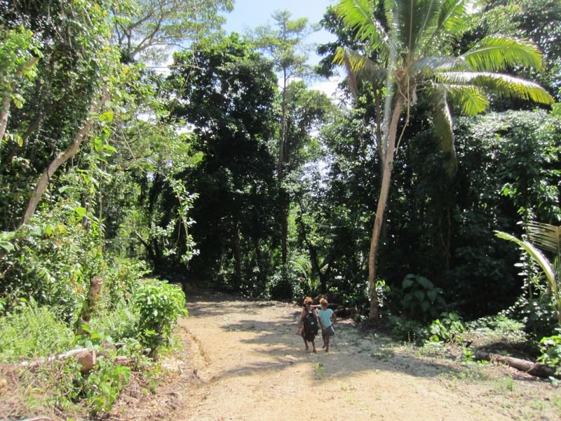 Makira-wogasia_festival_4_